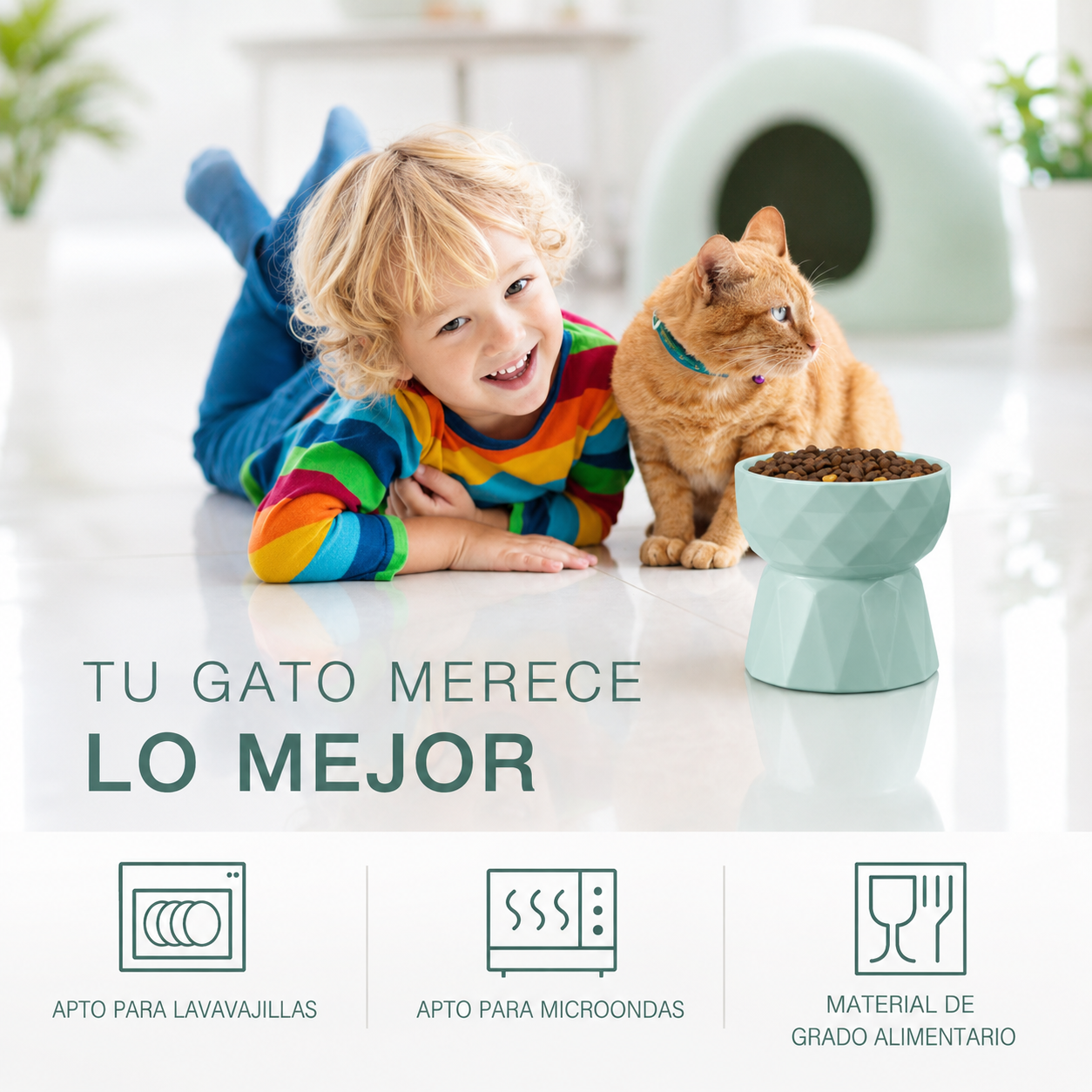 Cuencos para gatos y perros