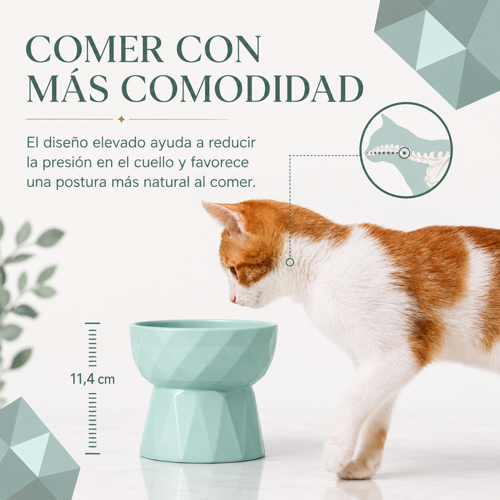 Cuencos para gatos y perros