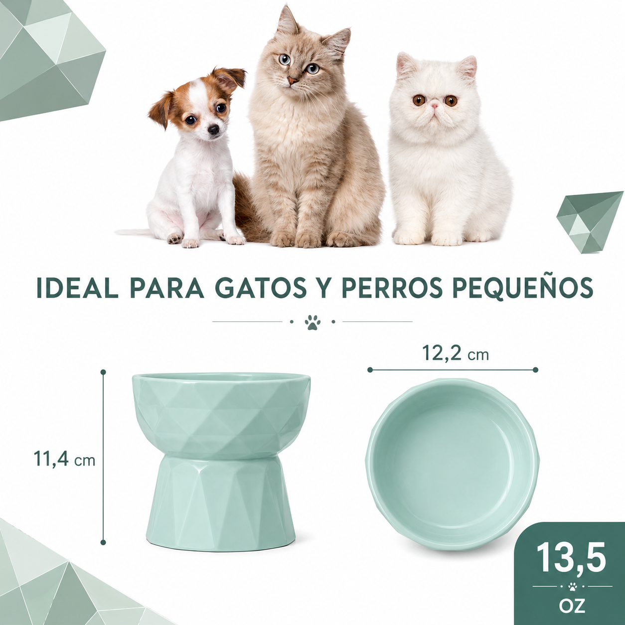 Cuencos para gatos y perros