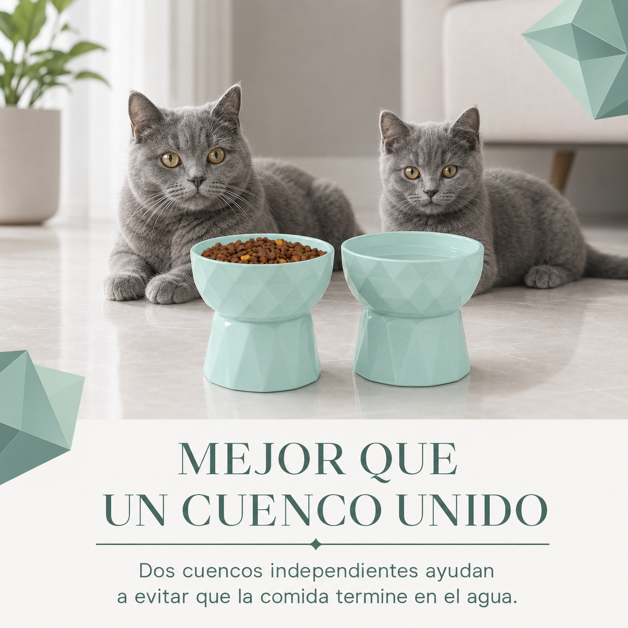 Cuencos para gatos y perros